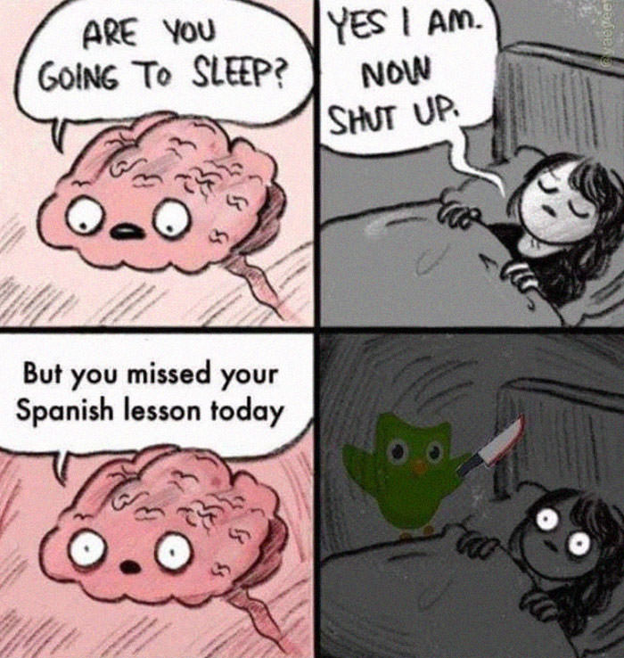 You missed your spanish lesson