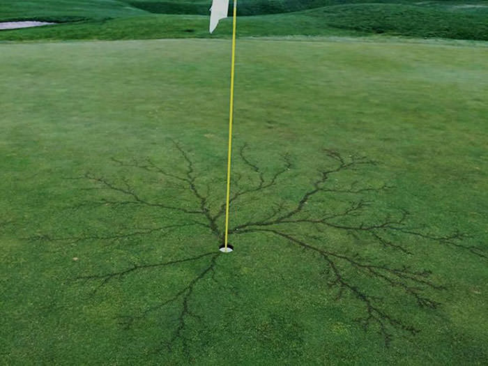 So golf courses can really highlight these Lichtenberg figures