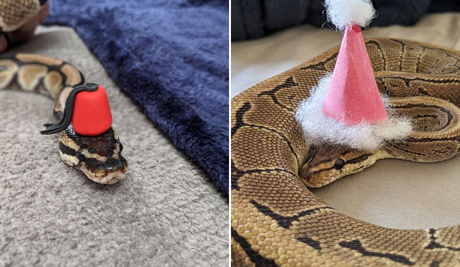 Snakes with Hats