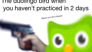 Duolingo memes