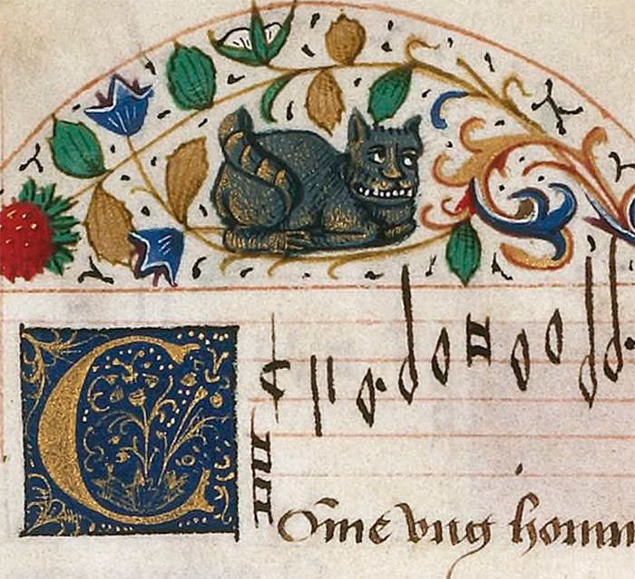 Medieval cheshire cat