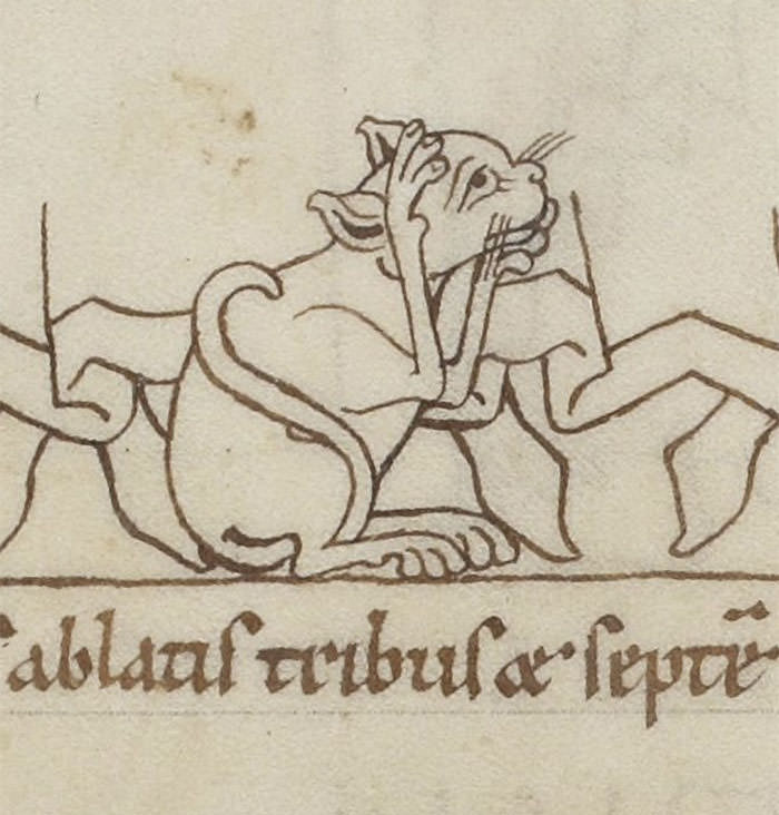 Medieval omg cat