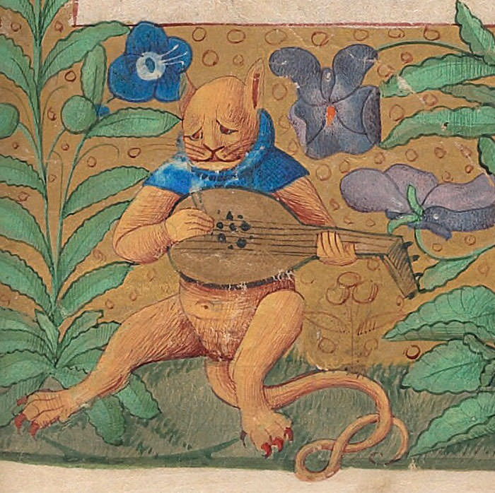 Melancholic cat plays the lyre