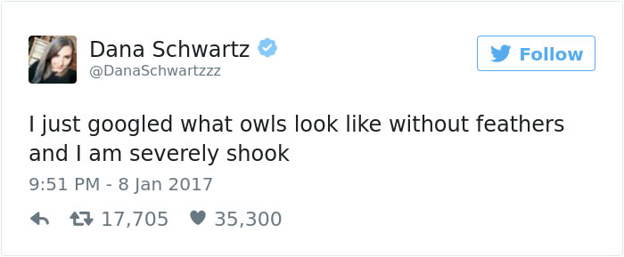 Owl Without Feathers: What Do the Fluffy Birds Look Like Without Feathers?