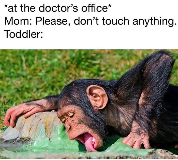 Funny Mom Memes that Perfectly Sum Up a Mother's Life