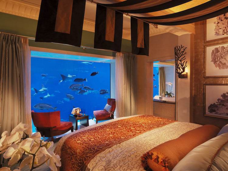 Atlantis the Palm (Dubai, UAE)