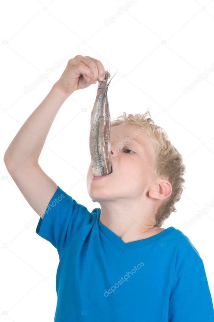 Little boy eating a herring. it is a dutch tradition to eat a herring like this