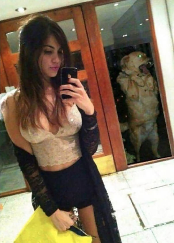 Even this dog is sick of her selfies