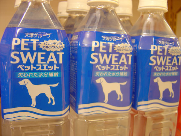 Pet Sweat