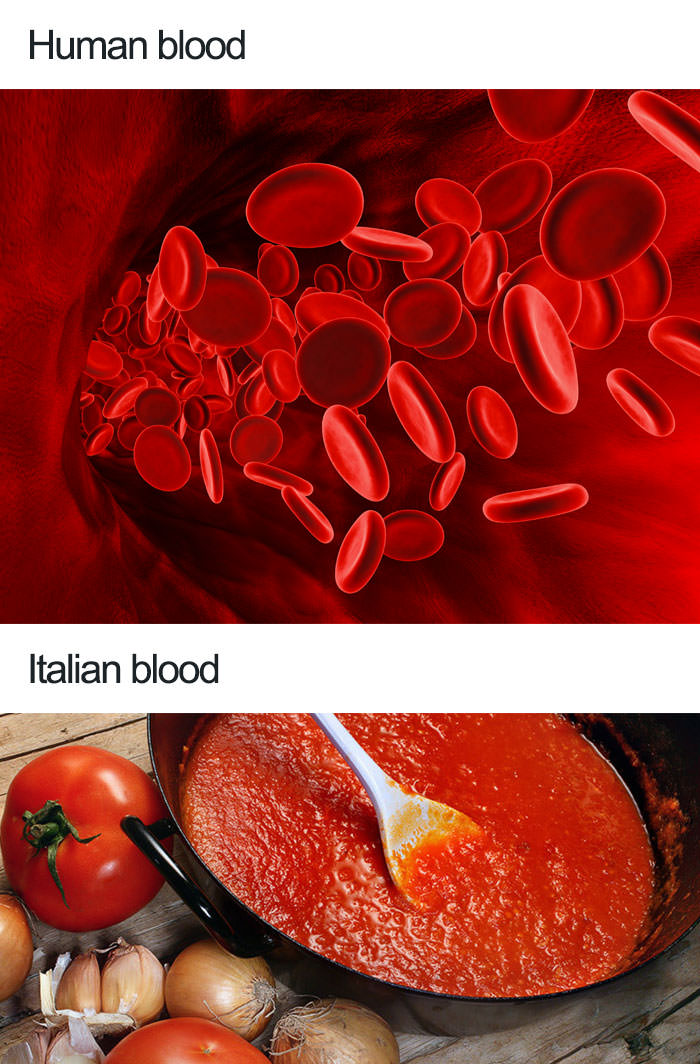 Italian blood