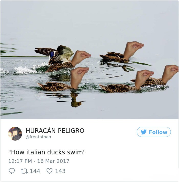 Italian ducks