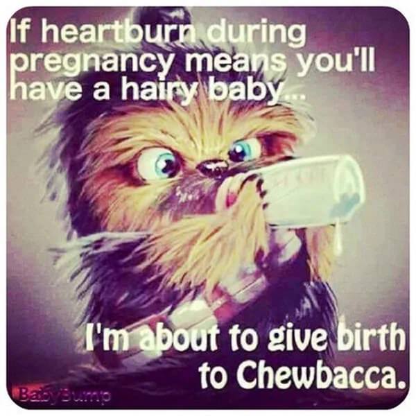 A very cute chewbacca, if i may add. (check out these heartburn remedies for relief.)