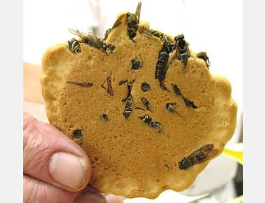 Wasp Crackers – Japan
