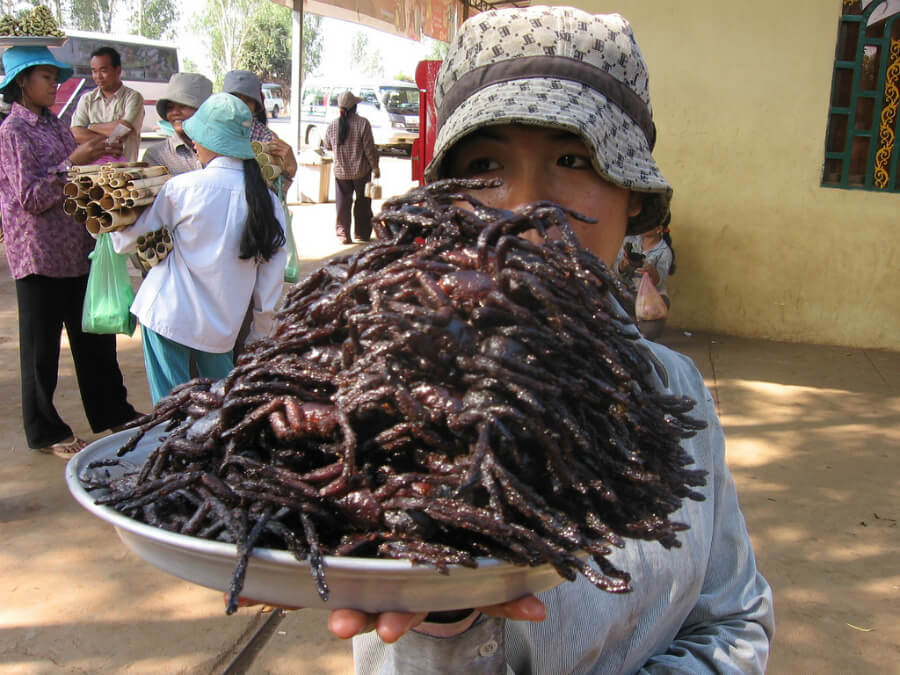 Fried Spider – Cambodia
