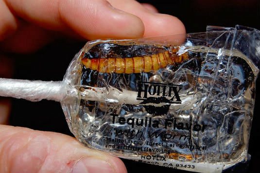 Tequila Worm – Mexico