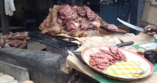 Bushmeat – Africa