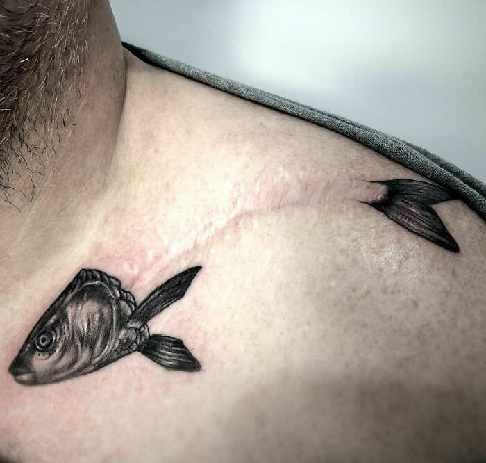 Fish and scars for fisherman