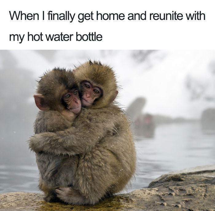 Hot water bottle