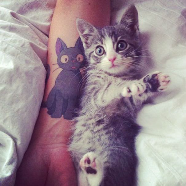Kitten ^.^