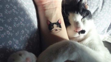 Minimalist cat tattoos