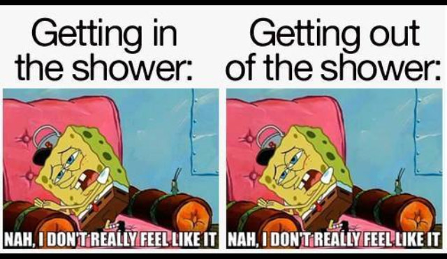Funny Shower Memes that Will Spice up Your Showers