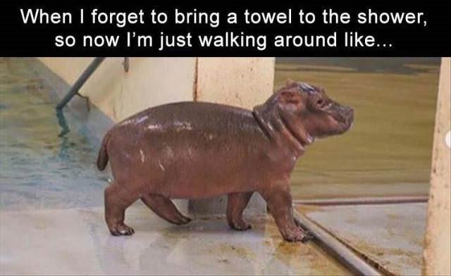 Funny Shower Memes