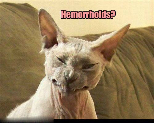 Hemorrhoid Troubles?