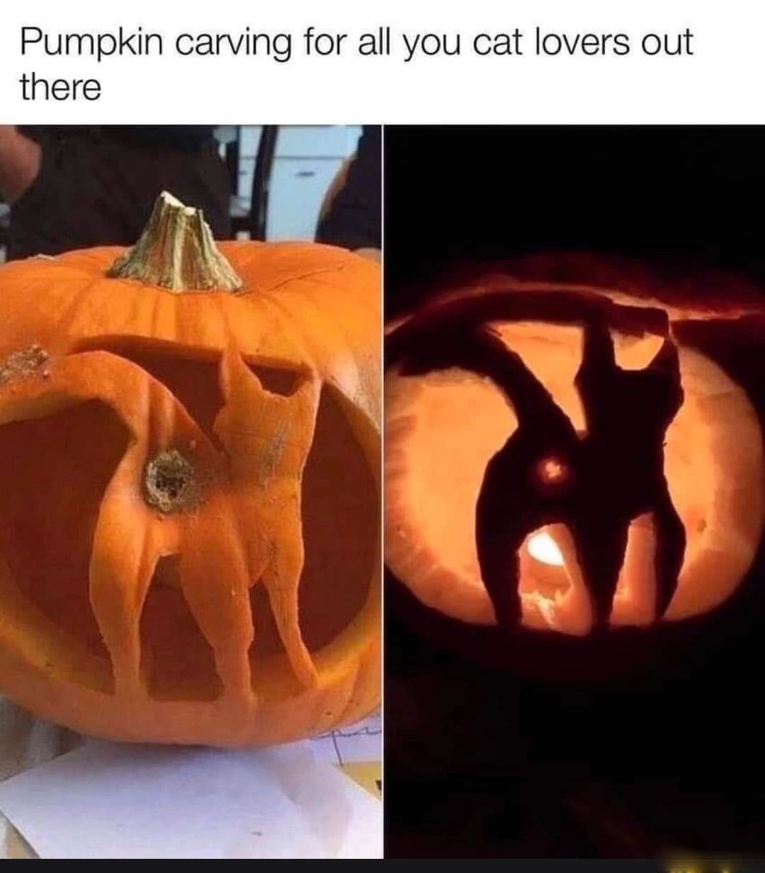 Cat Lovers Can Enjoy This Pumpkin Carving