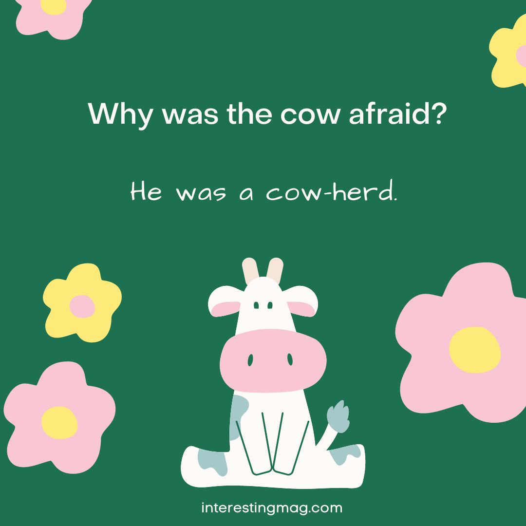 Cow Puns: A Laughing Stock That's Udderly A-moo-sing!