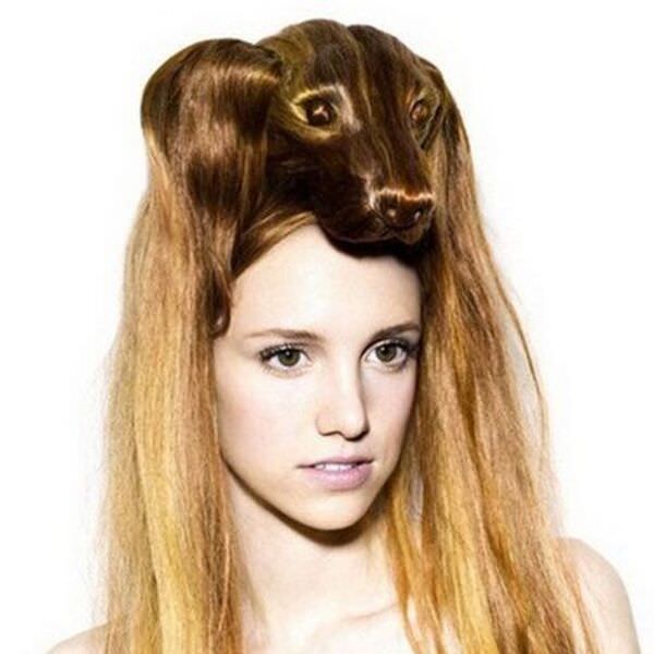 Funny dog wig hairstyle