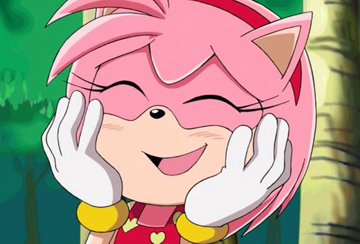 Amy rose from Sonic the Hedgehog Series