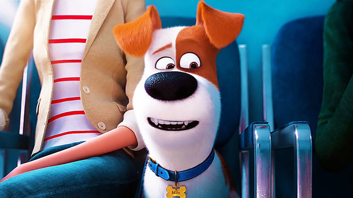 Max from The Secret Life of Pets