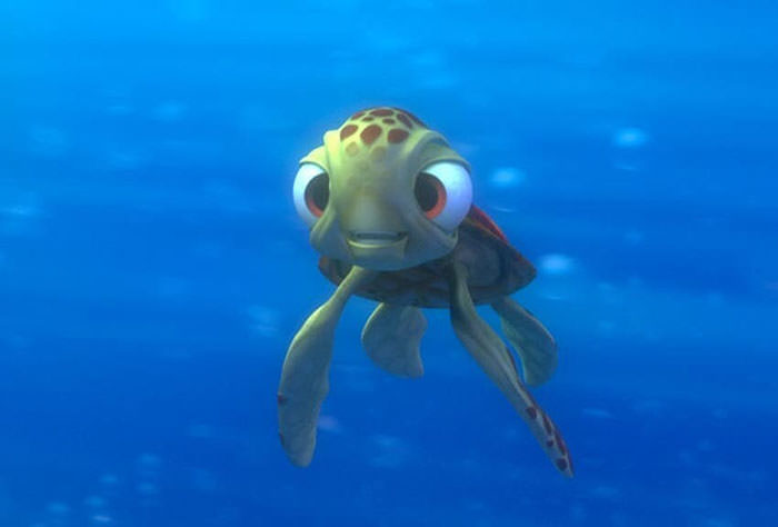 Squirt from Finding Dory