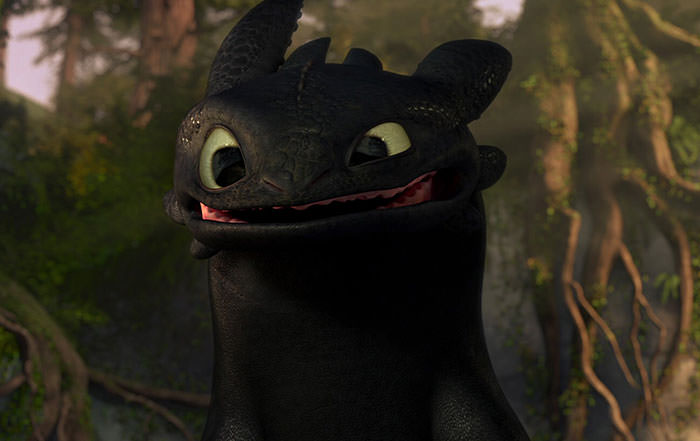 Toothless from How To Train Your Dragon