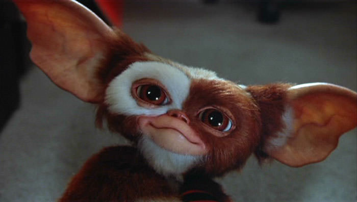 Gizmo from Gremlins
