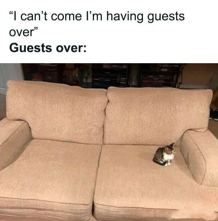 When Words Fail, Memes Speak: The Funniest Introvert Memes You'll Ever See