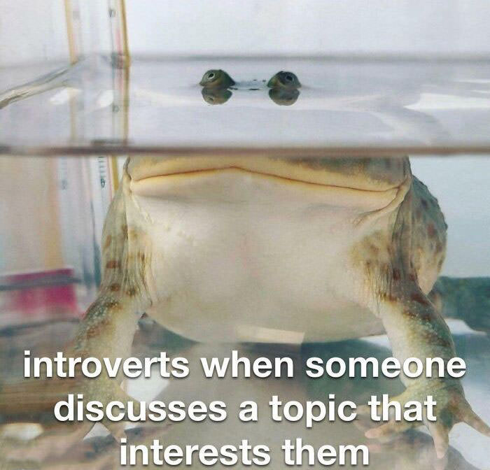 When Words Fail, Memes Speak: The Funniest Introvert Memes You'll Ever See