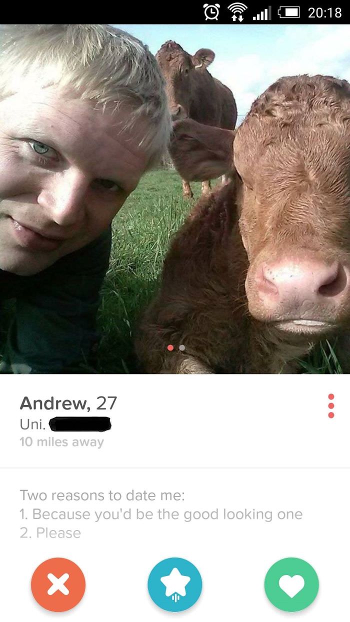 The most convincing Tinder bio
