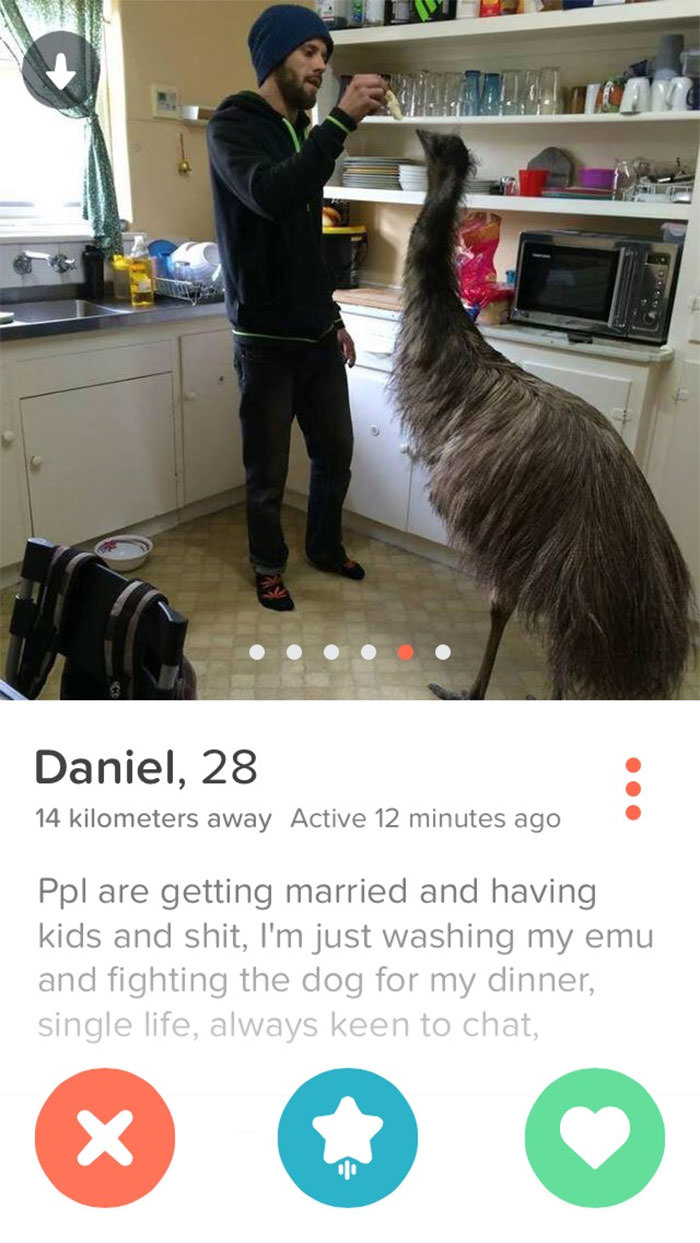 The emu fellow