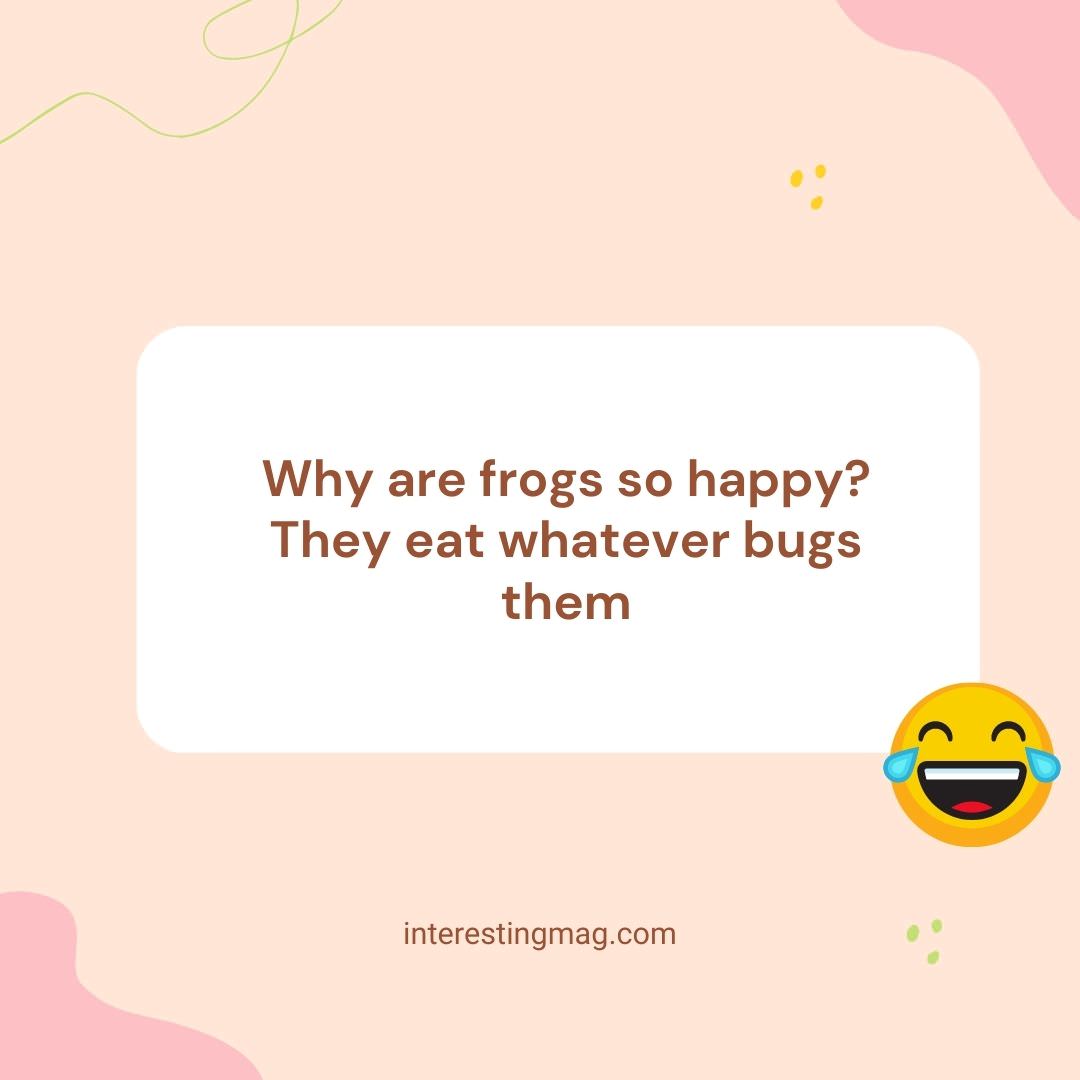 Froggy's Bug-Free Bliss