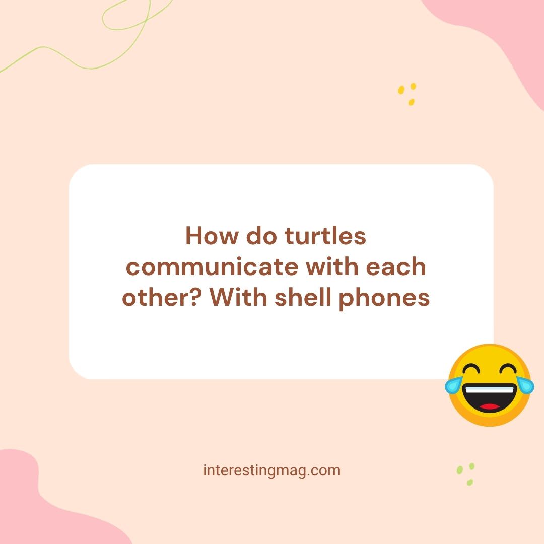 Turtle Talk: The Shell Phone Connection