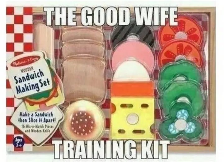 Take pleasure in these amusing memes about wives and prepare me a sandwich too!