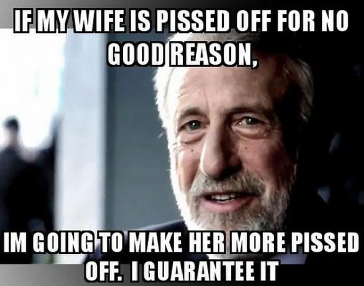 These are some of the most excellent memes about wives, I assure you.