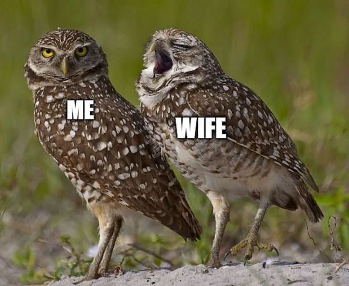 Love and Laughter: These Funny Romantic Wife Memes Will Brighten Your Day!