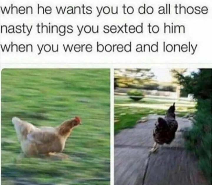 Too Funny Not to Share: The Top Sex Memes That Will Make Your Day