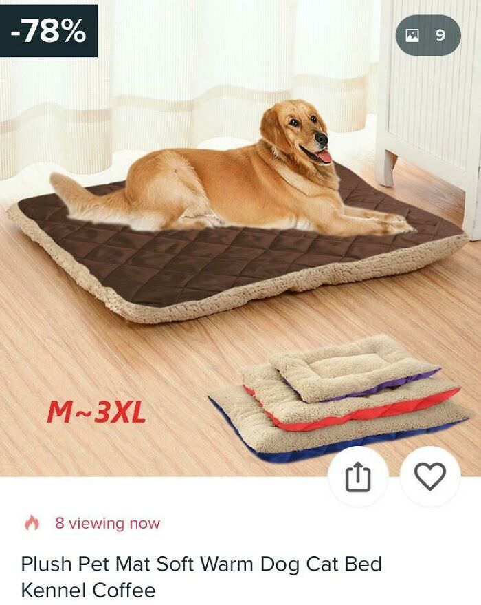 Am I crazy, or is there no actual dog on that bed?