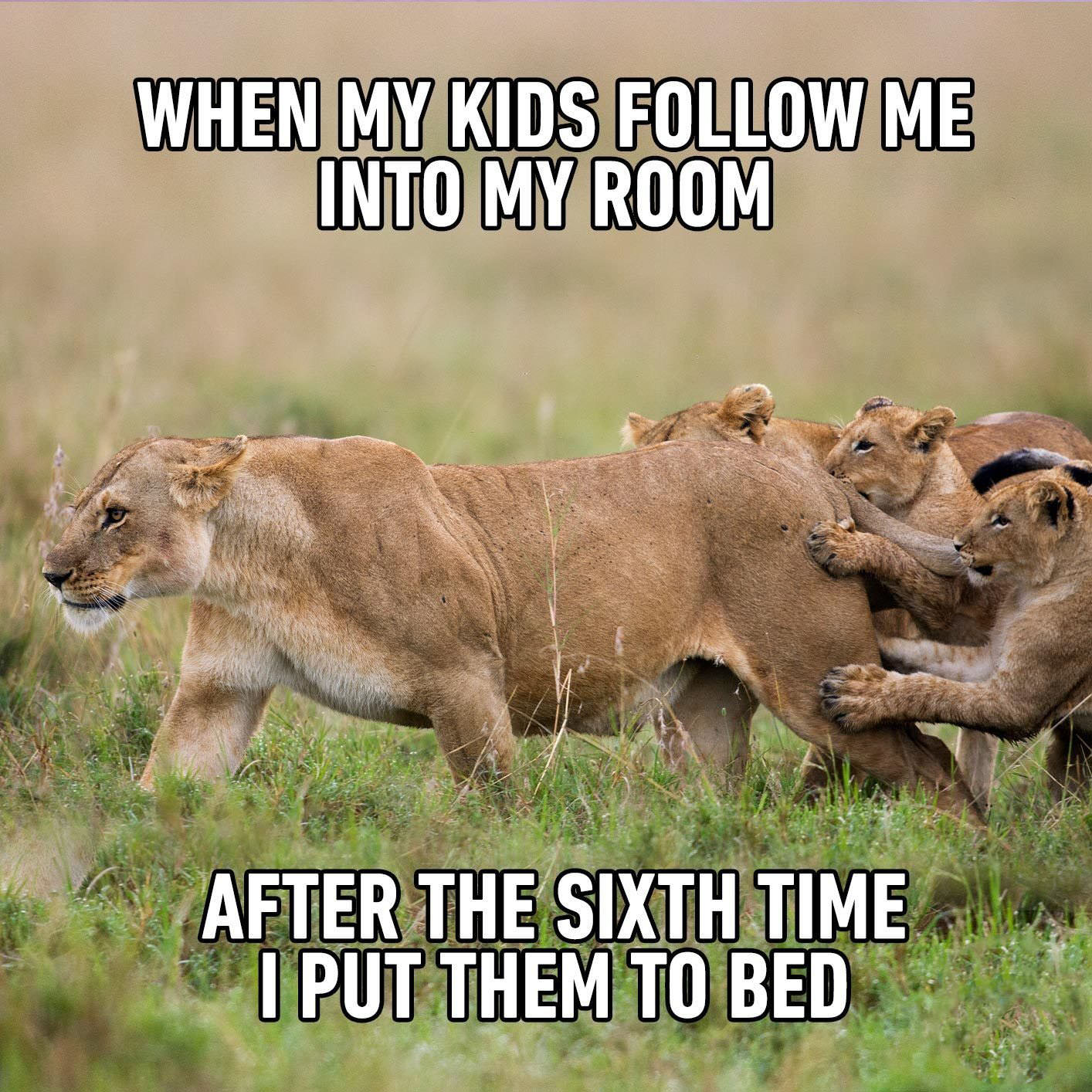 The Funniest Mother-Son Memes That Will Make You LOL!