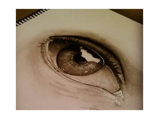 Optical illusion drawing of eye