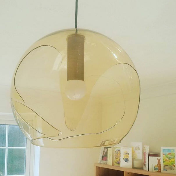 Husband's head goes through a new lampshade