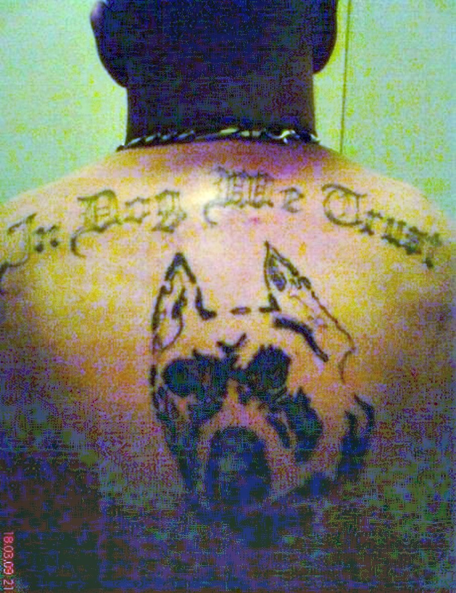 Oh, dog dammit, why did you get that tattoo?